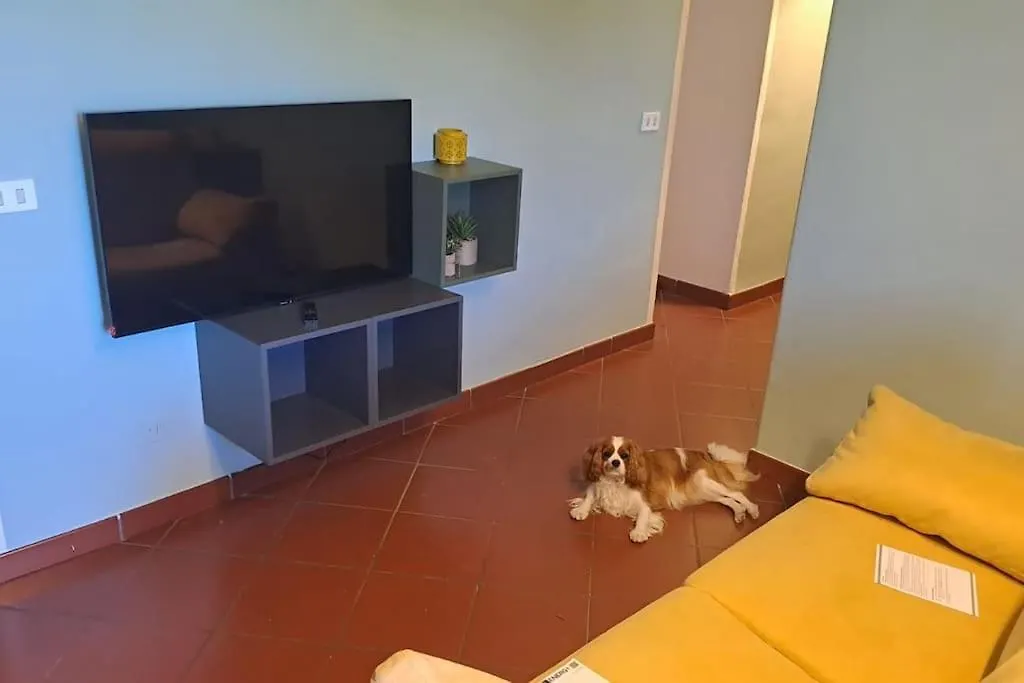 Apartment L'Appartamento Del Maestro Bargi Italy